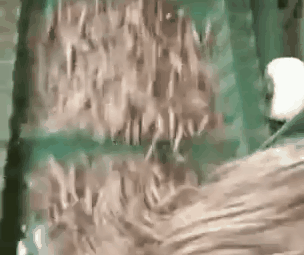 顆粒機(jī)環(huán)模