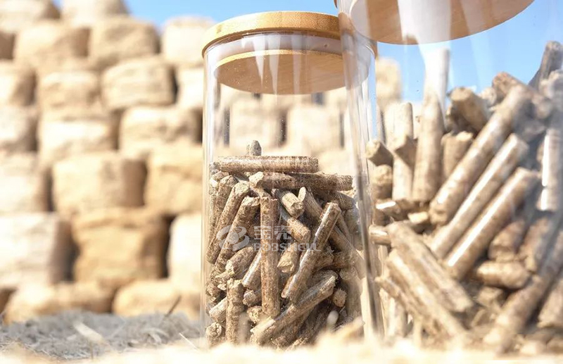 生物質(zhì)顆粒燃料